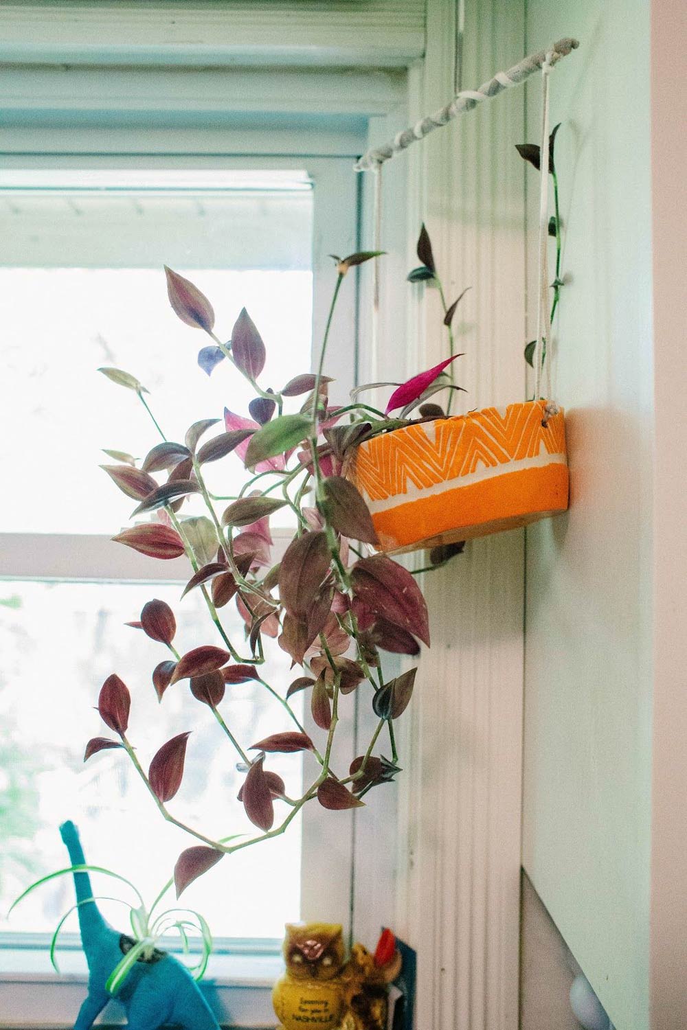 Hanging pot with plant