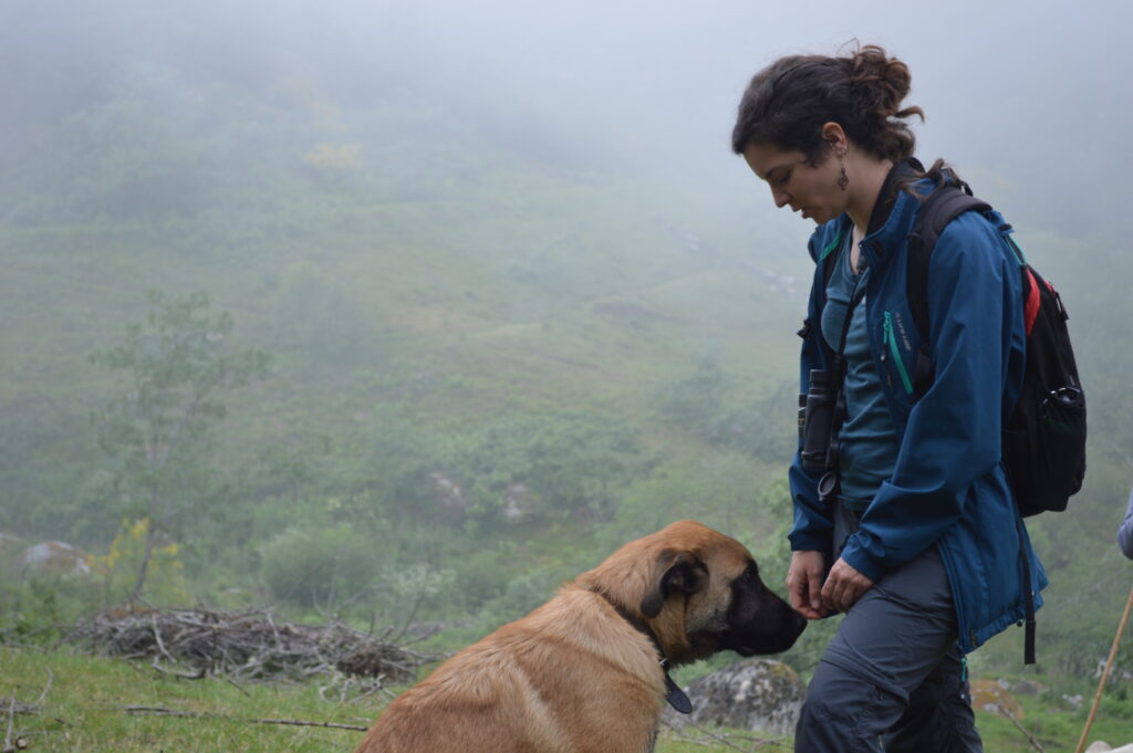 Side shot of a person and a dog, both facing each other, in a foggy landscape