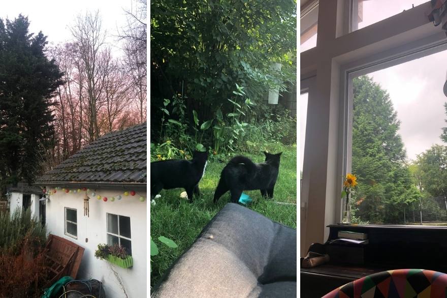 Eine Collage zeigt ein weißes, mit Lampions geschmücktes Haus und große Bäume vor einem Sonnenuntergang, zwei schwarze Katzen, die durch einen grünen Garten streifen sowie einen bunten Sessel vor einem Fenster mit Blick in den Garten.