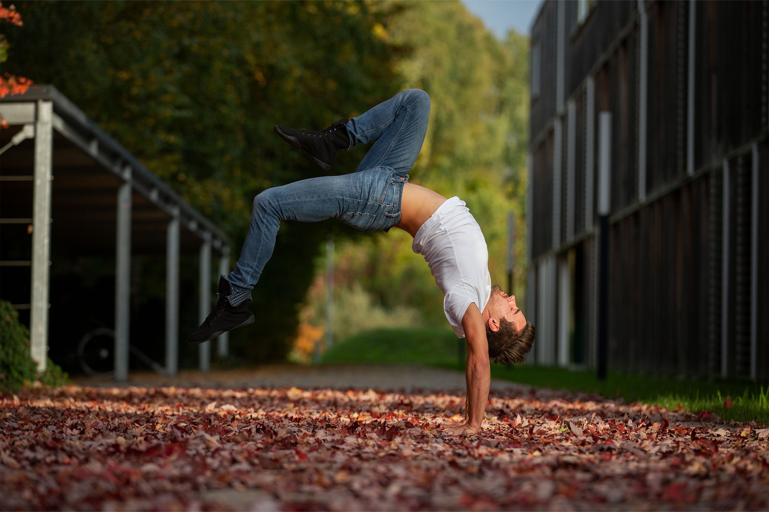 A person in jeans and white T-shirt is doing an acrobatic exercise outdoors, hands on the leaf-covered ground, legs in the air. On her feet she wears Wildling Shoes minimal shoes.