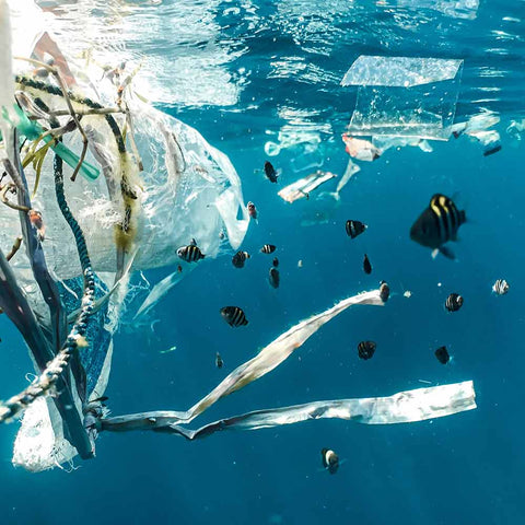 plastic in the ocean