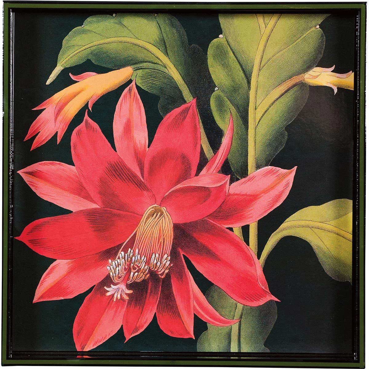 lacquer art tray with black background and large red flower