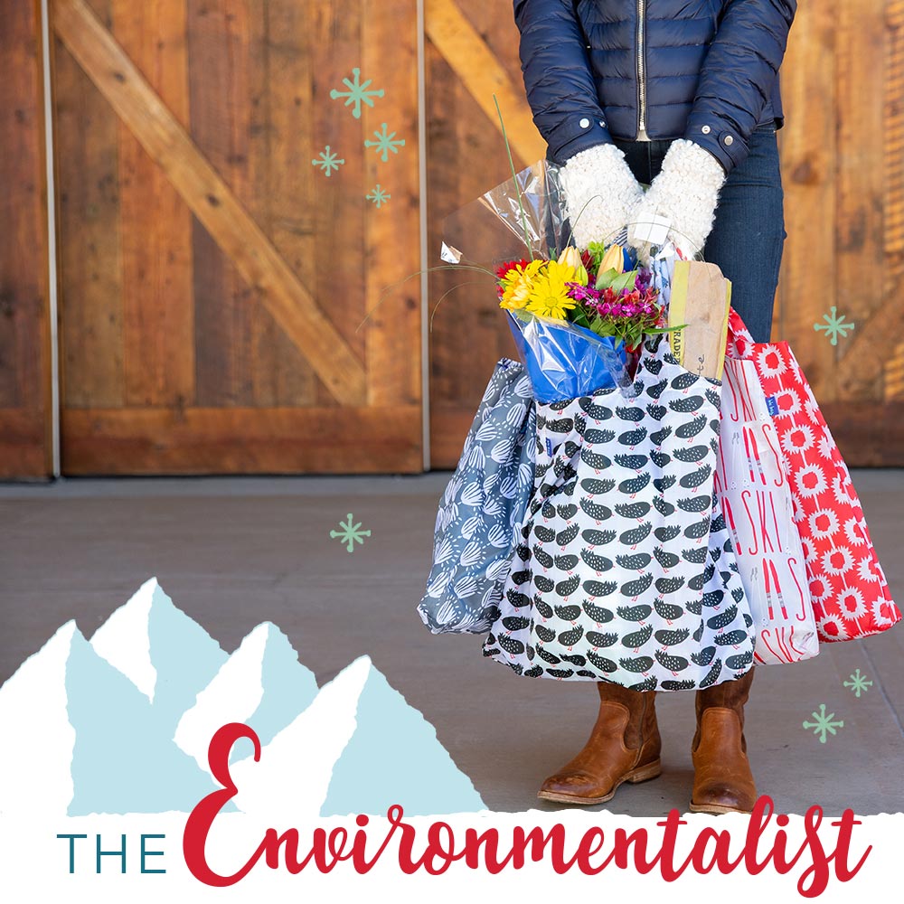holiday gifts for the environmentalist