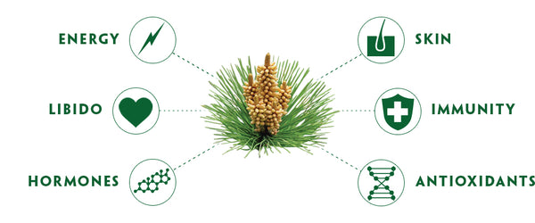 Teelixir Wild Pine Pollen Health Benefits