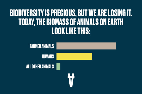 A horizontal bar chart shows that farmed animals are in far greater number on the plant than humans or all other animals.