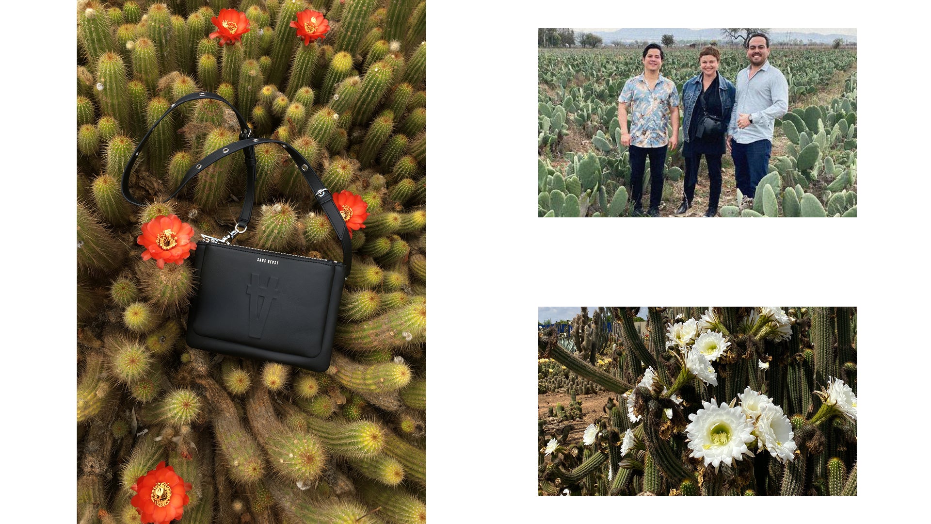 Composition of imagery showing our vegan handbags made from Desserto Pelle Cactus Leather.