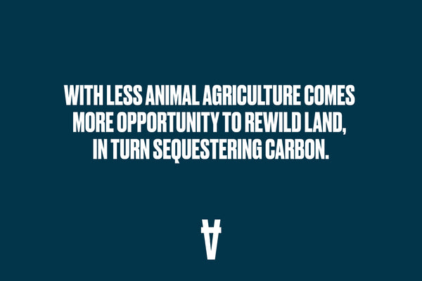 With less animal agriculture comes more opportunity to rewild the land.