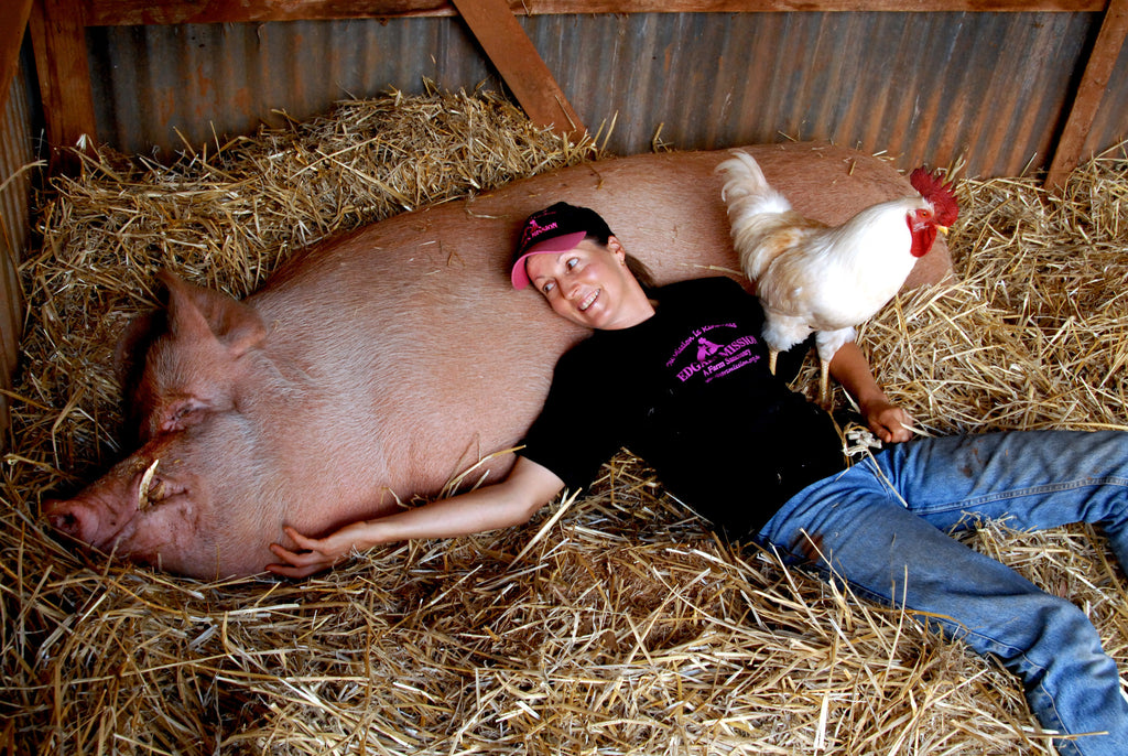 Pam Ahern at Edgars Mission, lying on straw next to a very large pig.