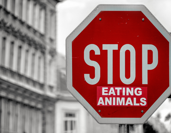 A red stop sign in front of city buildings, with a sticker across the bottom reading 'eating animals'.