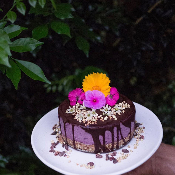 Vegan blueberry cheesecake.