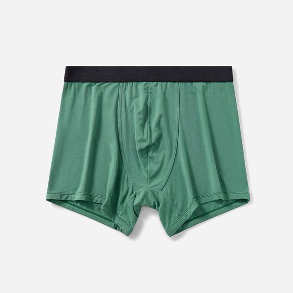 Silktouch TENCEL™ Modal Air Jacquard Waistband Boxer Brief – Tani Comfort