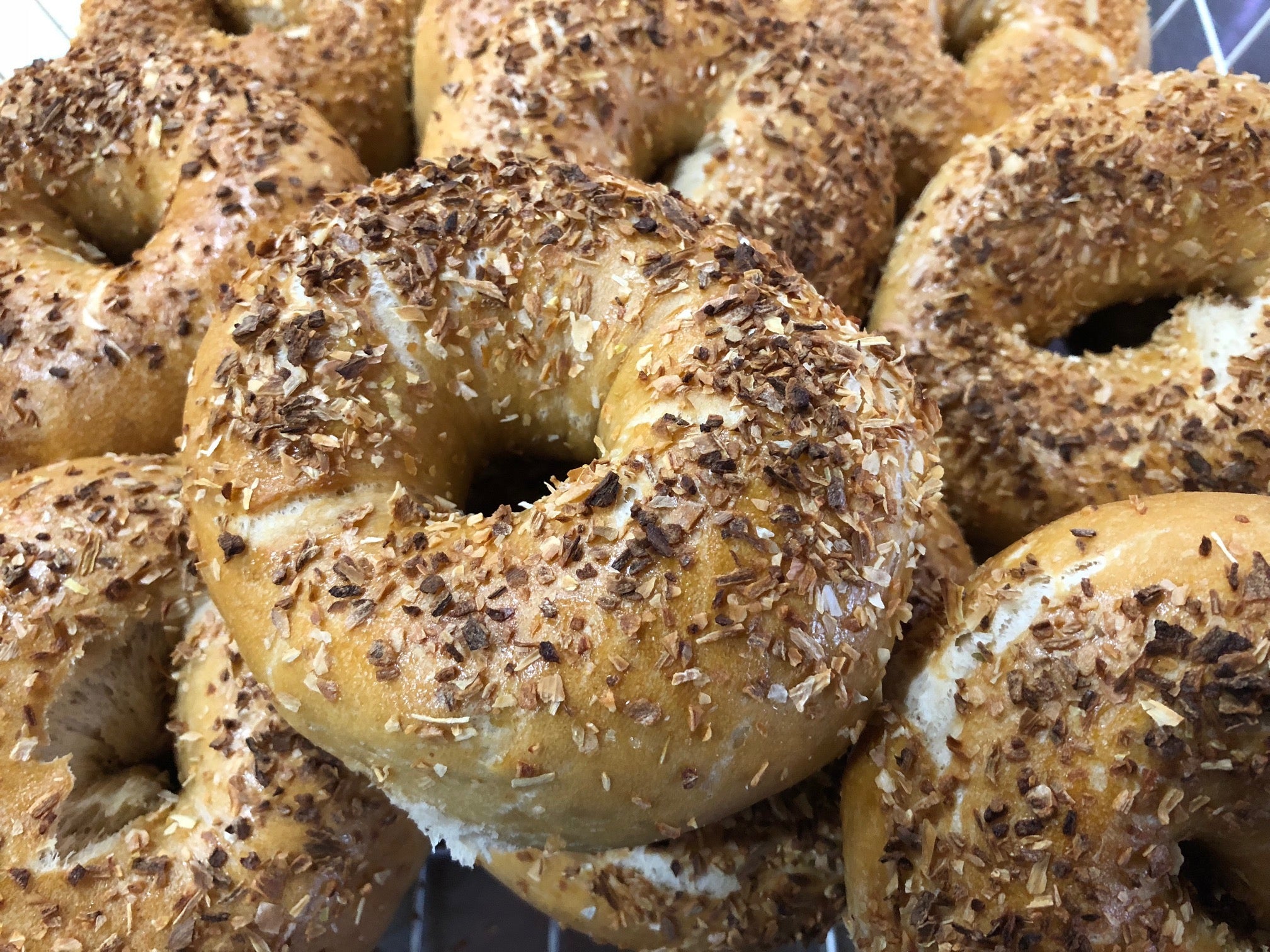 Onion Bagel - Schmear