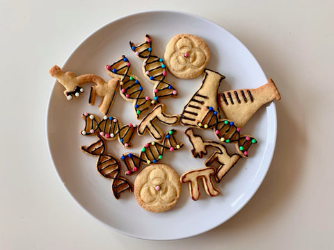 Decorated cookies made from cookie cutters for scientists - DNA cookies, Pi cookies