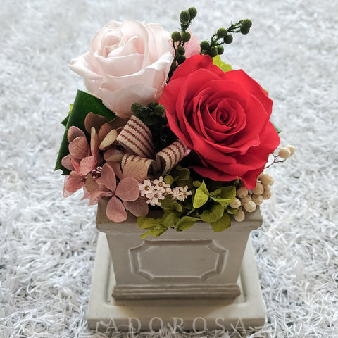 rose, preserved rose, preserved flower, rose box, flower