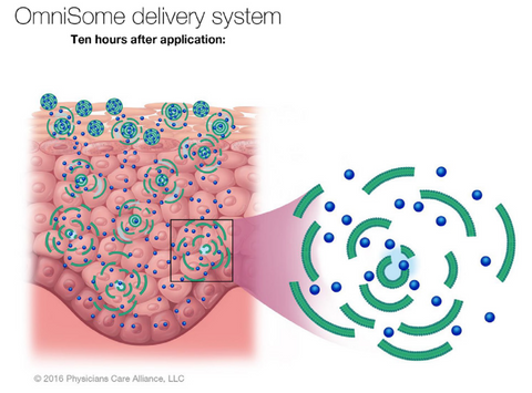 PCA Skin omnisome delivery system