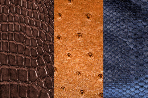 Exotic Leather Skins: Beyond the Ordinary