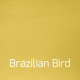 brazilian bird