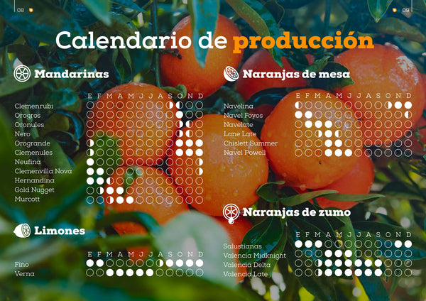 Calendario de producción