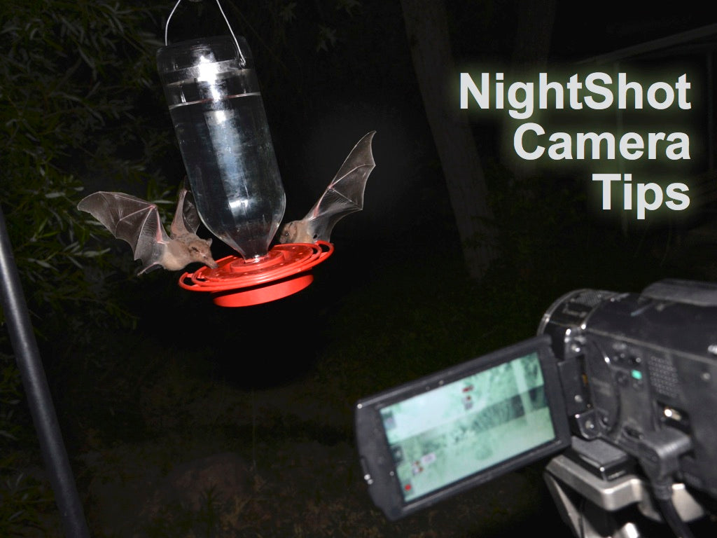 NightShot Camera Recommendations and Tips Bat Conservation and Management, Inc.