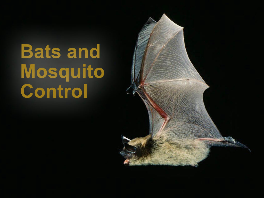 how to make mosquito bat