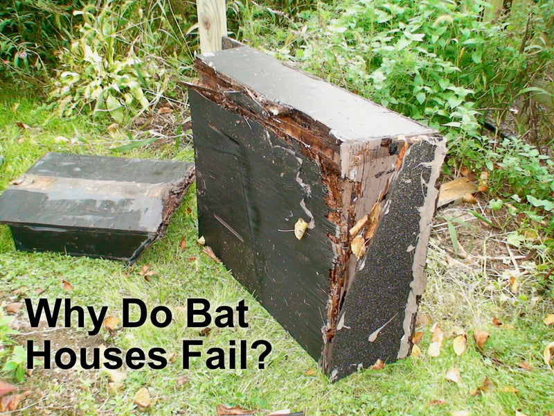 Why Do Some Bat Houses Fail? – Bat Conservation and ...