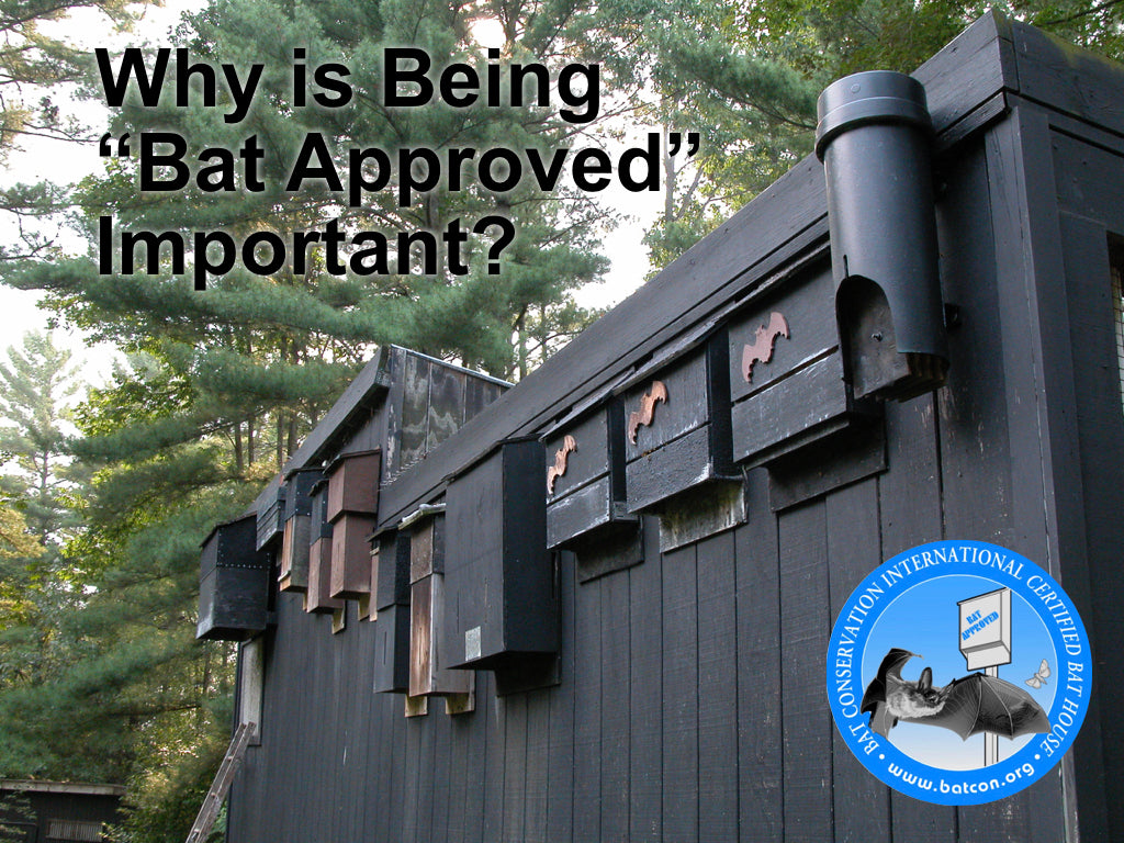 Why is "Bat Approved" Important? – Bat Conservation and ...