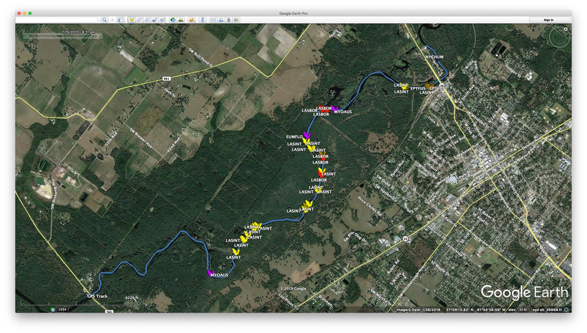 South Arcadia Transect 