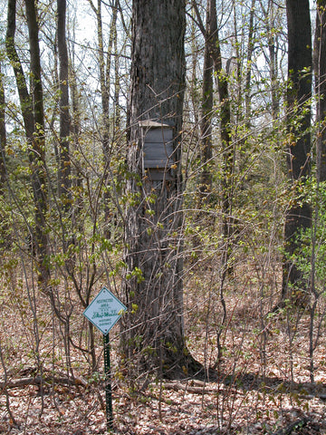 Why Do Some Bat Houses Fail? – Bat Conservation and ...