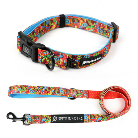 Pup Art Collar and Leash Set - Neptune & Co.