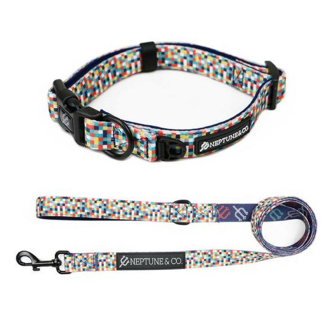 The Flagship Collar and Leash Set 