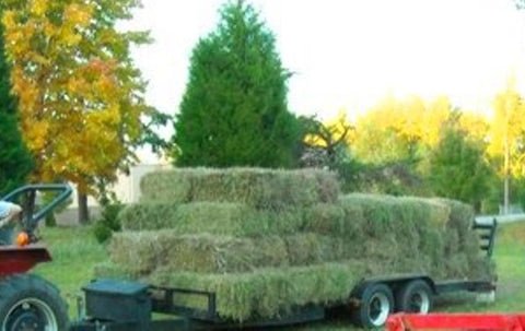 Loaded Square Bales ready for the Barn