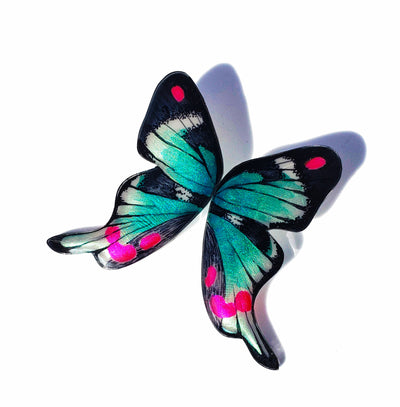 Aros Ilustración Media Mariposa Periander con Pin