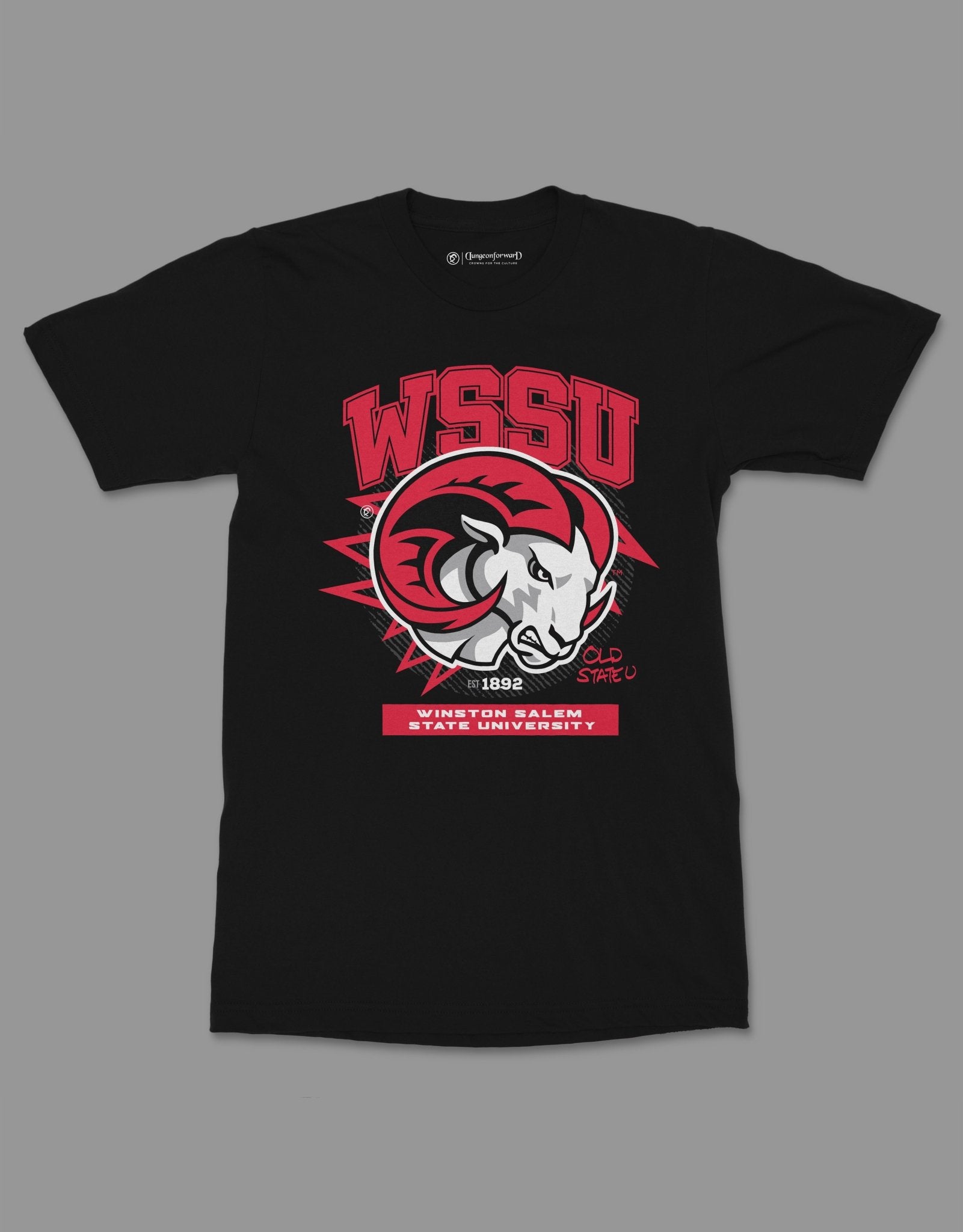 The Yard Essentials - Winston Salem State University - WSSU Tshirt - DungeonForward product image