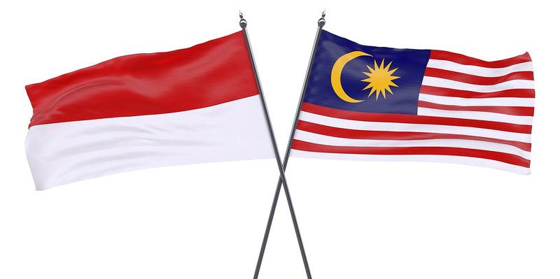 The Rise Of Biodiesel In Malaysia And Indonesia Mixer Direct