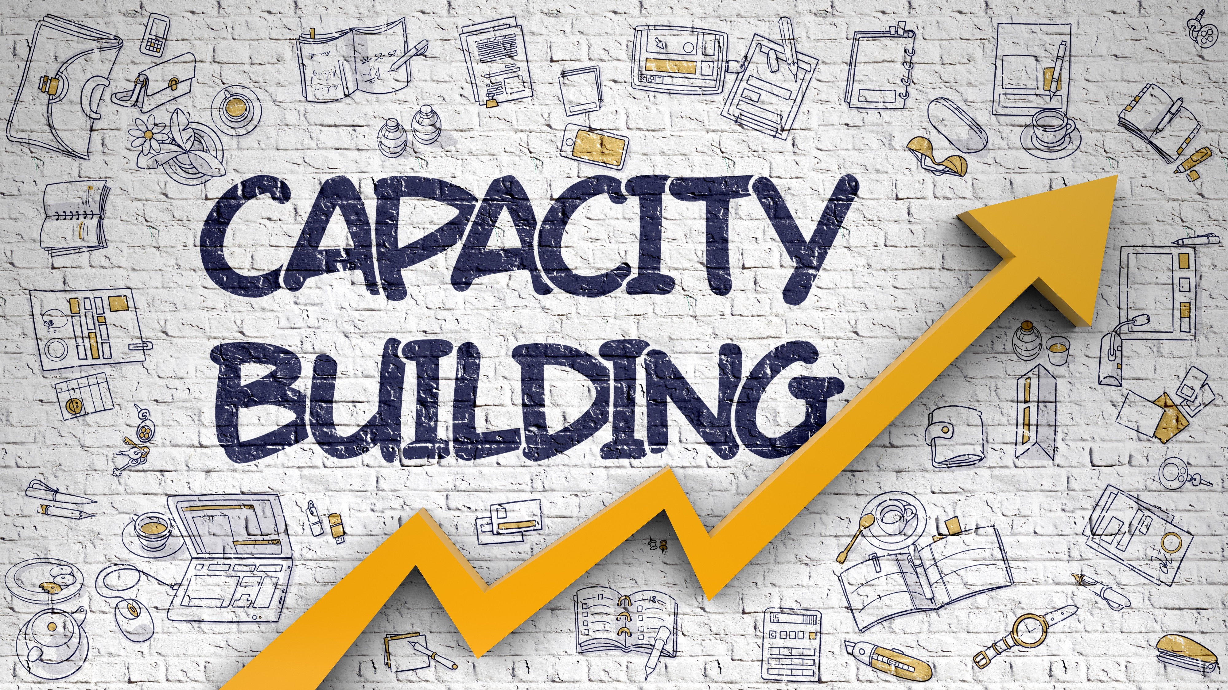 Build Capacity