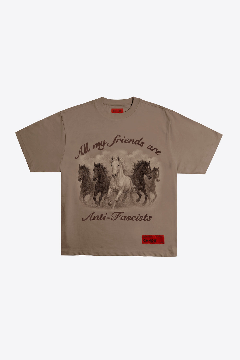 All My Friends Are Anti-Fascists S/S Tee (Portabella)