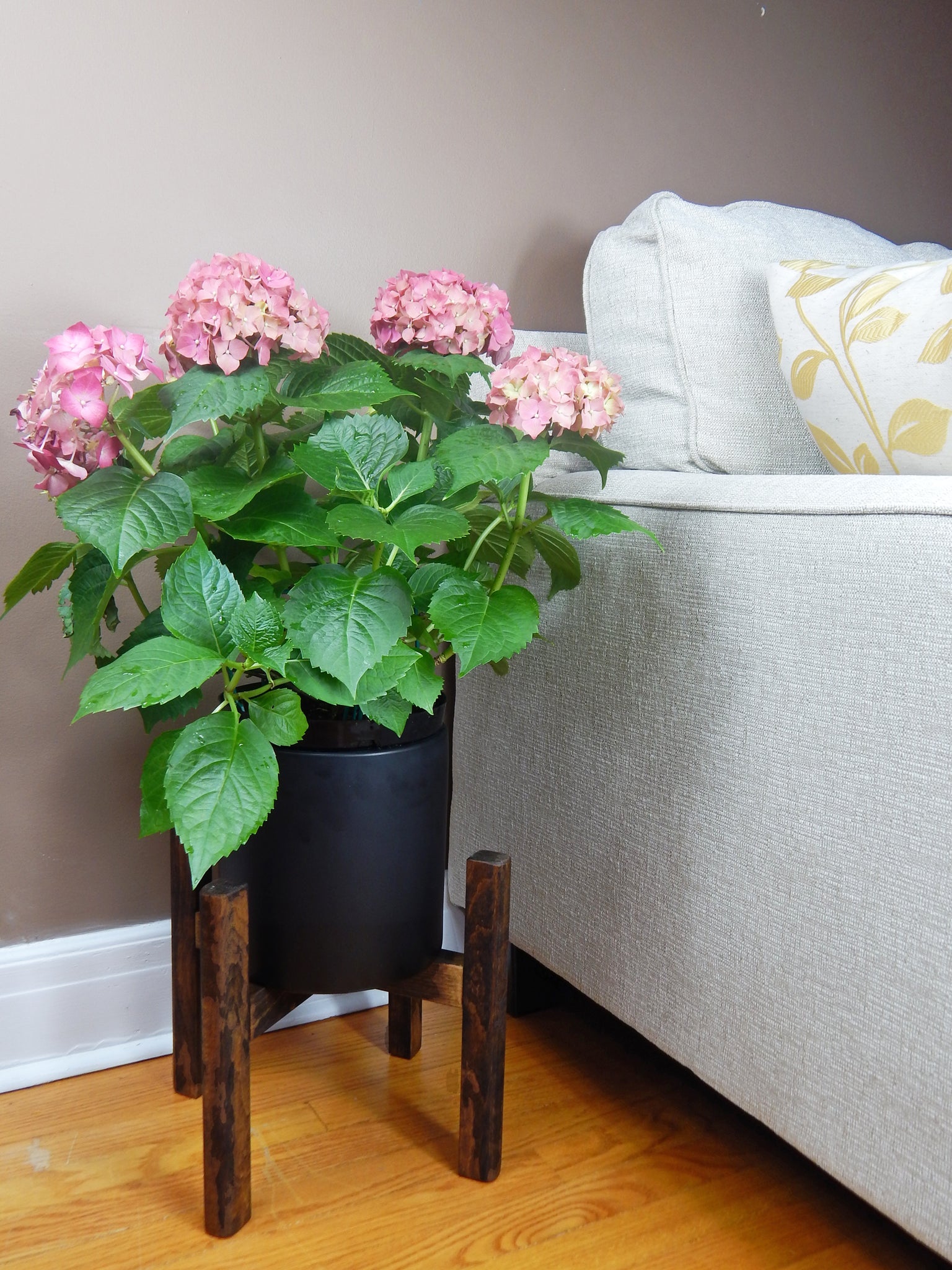 Featured image of post Mid Century Modern Planters Indoor : Vtg 1950&#039;s black panther atomic!