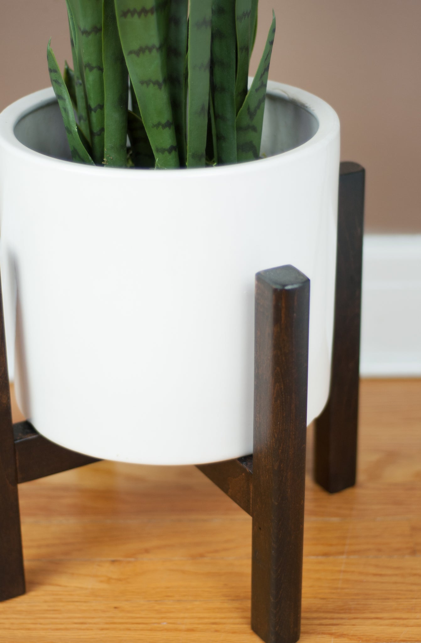 indoor plant stands