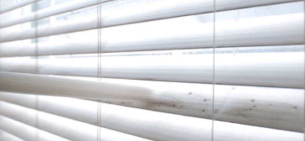 How To Clean Blinds and Best Way To Clean Blinds 
