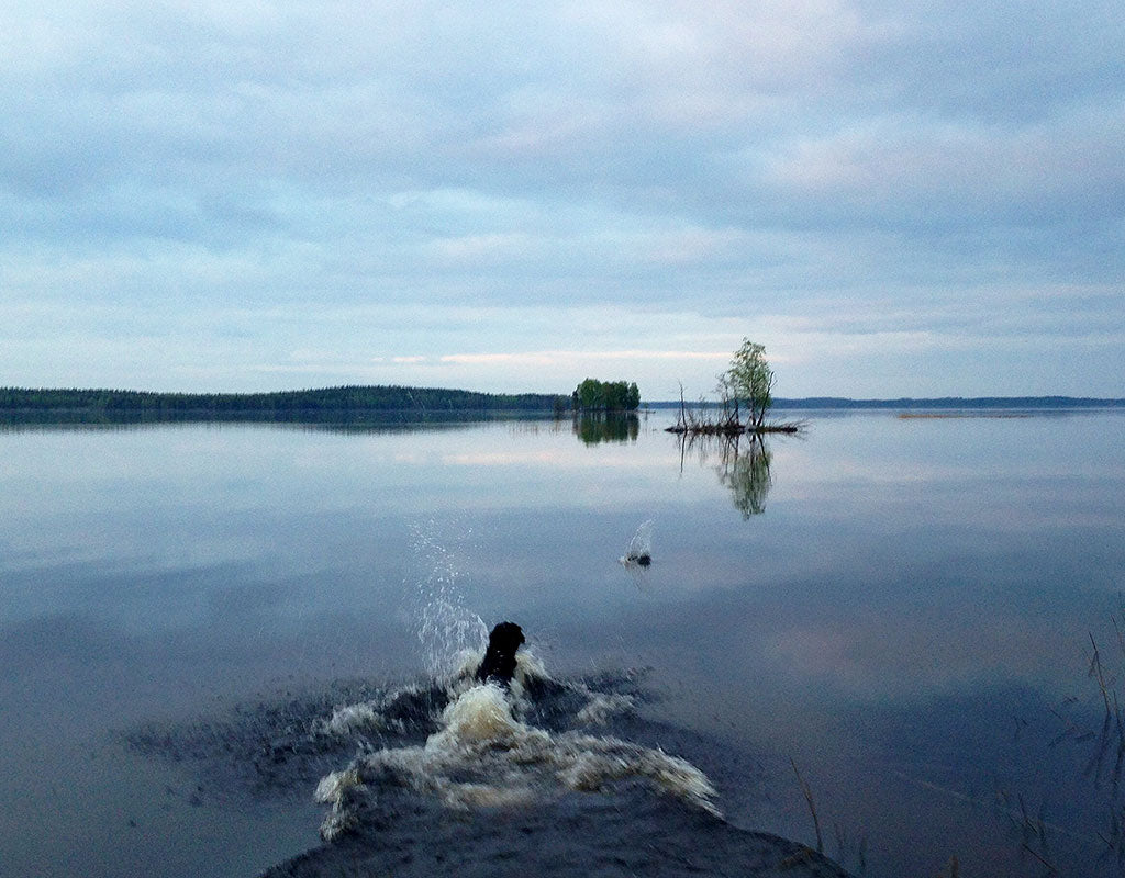 Paksuniemen Kesäkeidas - Rääkkylä - Kylää