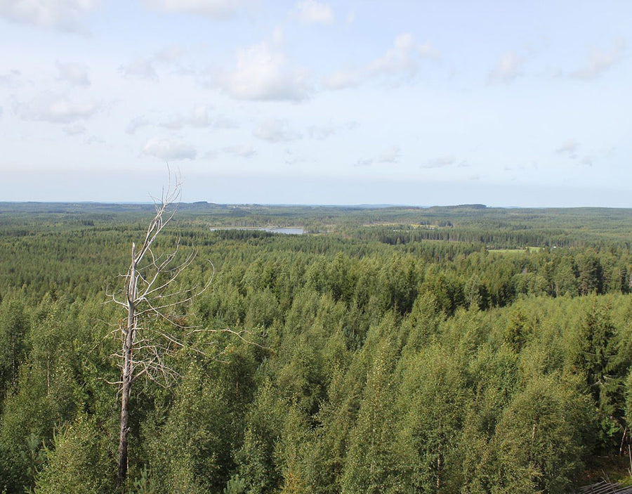 Nähtävyydet ja käyntikohteet - Itä-Suomi - Kylää