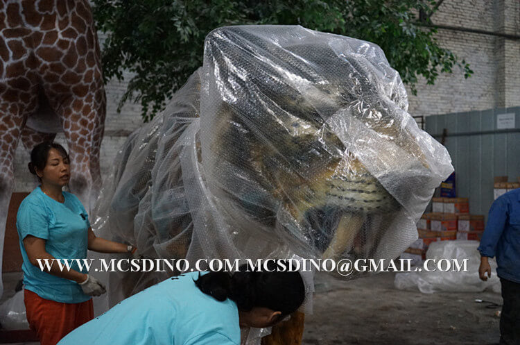 pack the sabertooth cat model,with bubble wrap