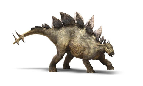 stegosaurus_color