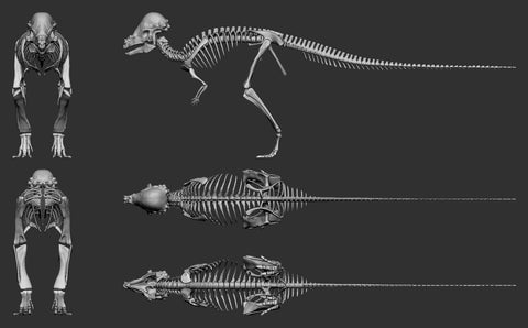 échelle de squelette de dinosaure