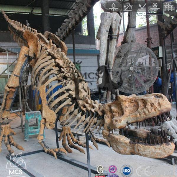 T-Rex Specimen Skeleton Fossil Replica-SKR020