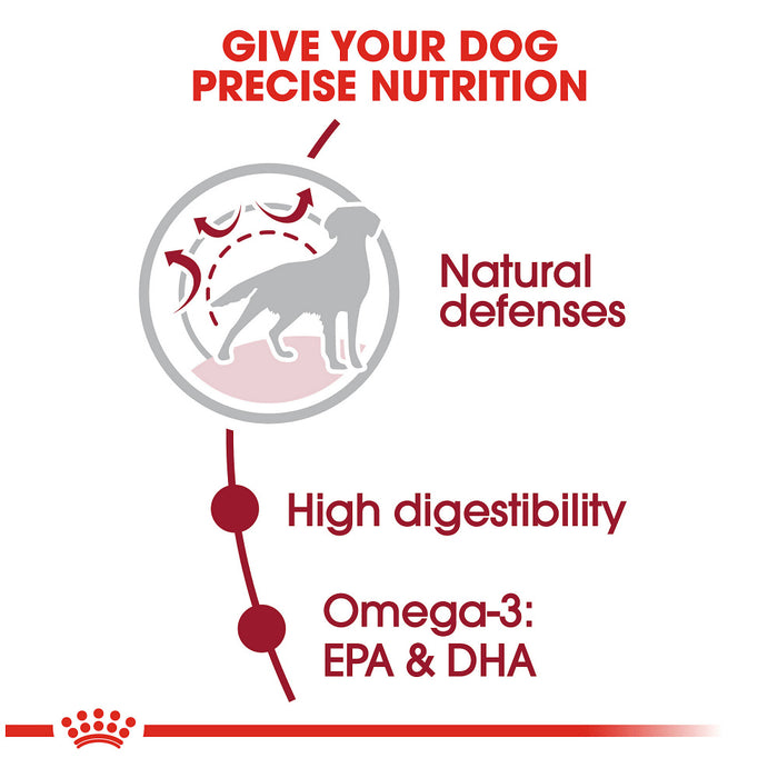 dagboek tij de elite Royal Canin Size Health Nutrition Medium Adult Dry Dog Food — Concord Pet  Foods & Supplies| Delaware, Pennsylvania, New Jersey, Maryland