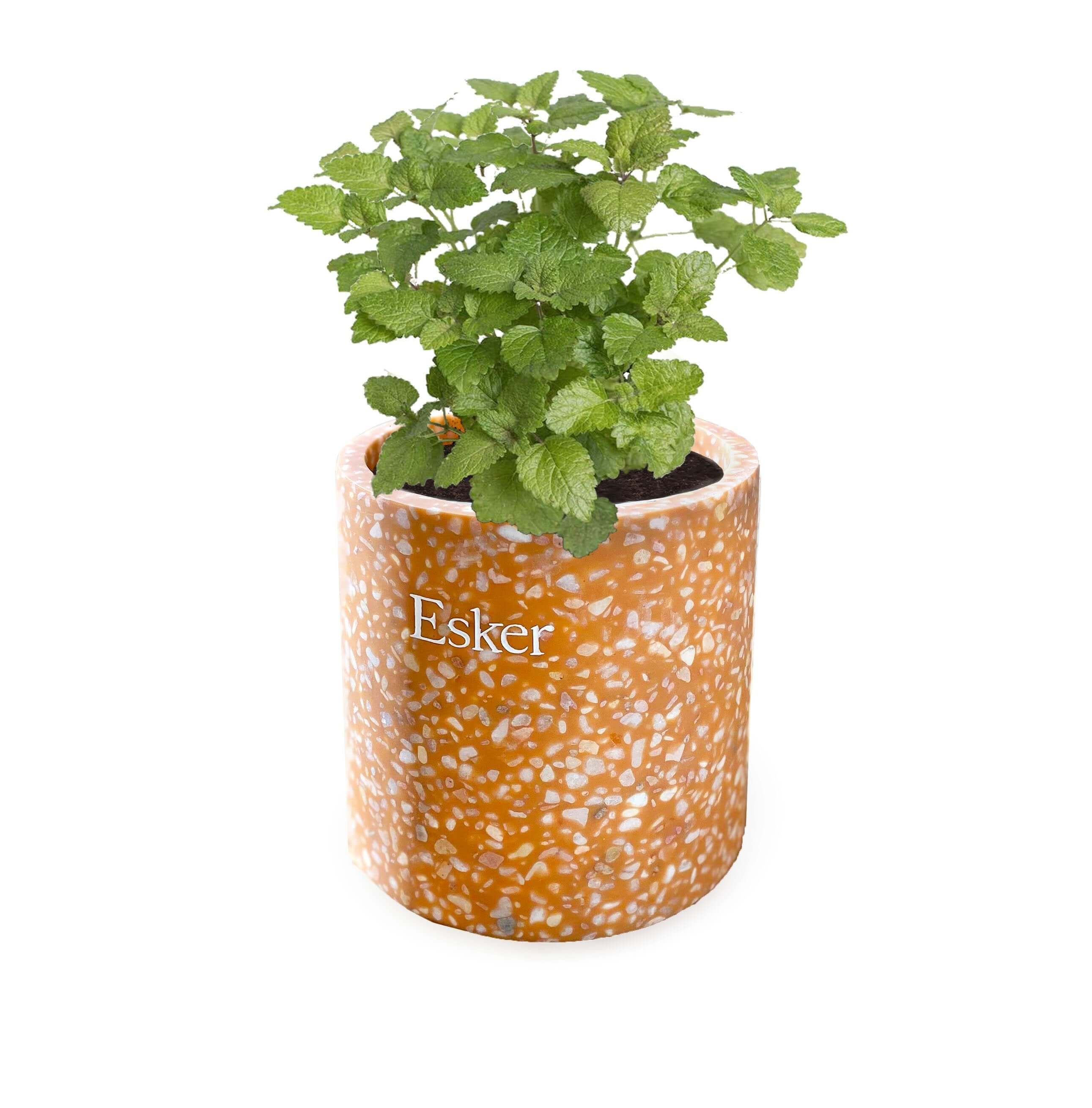 Terracotta Plantable Candle-image-3