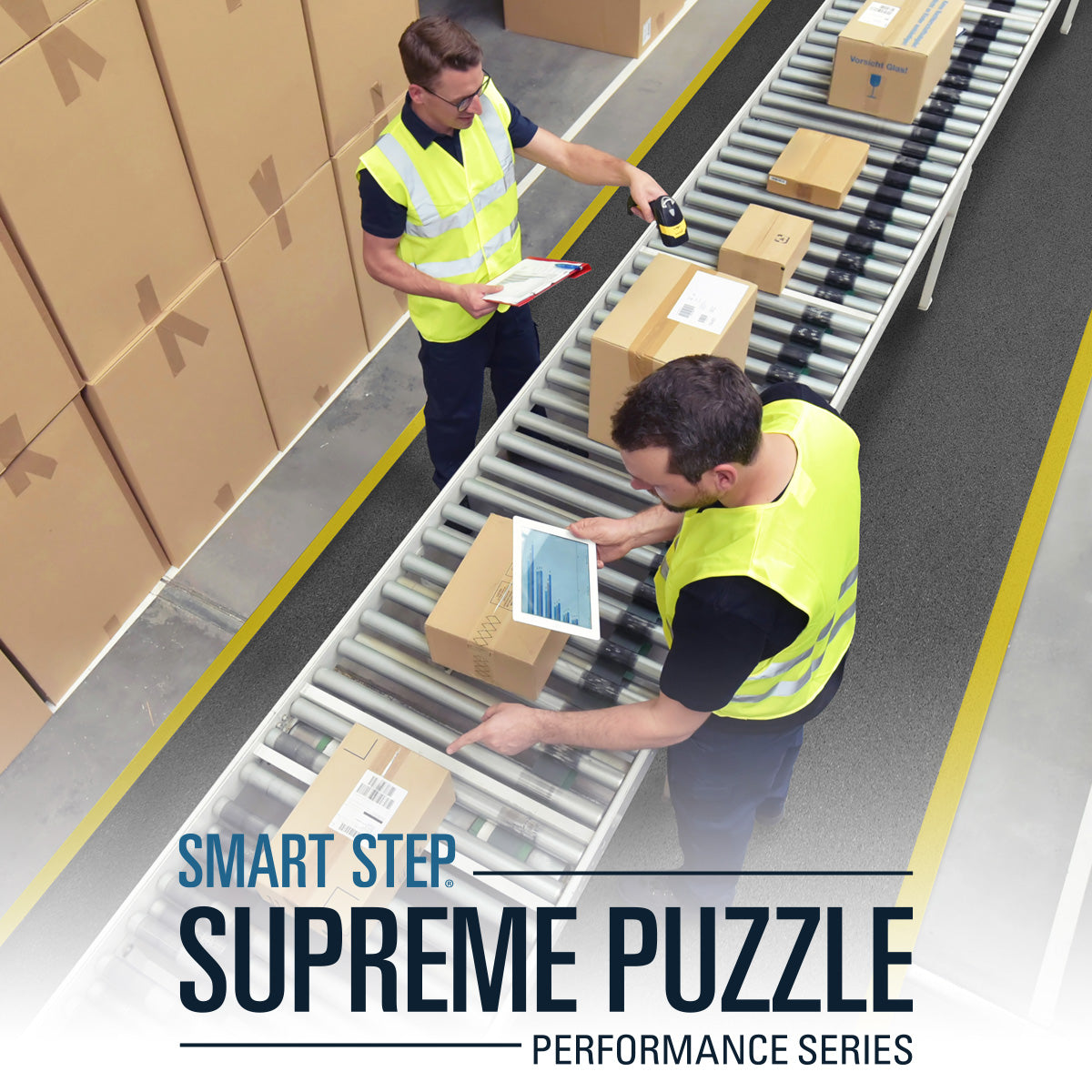 Smart Step Supreme Puzzle