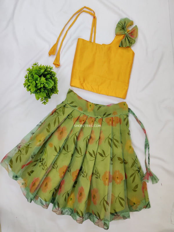 Yellow Silk Top With Mint Green Organza Skirt