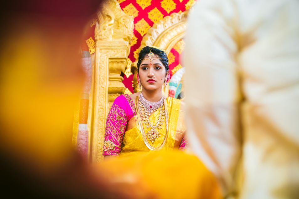 Yellow Color Festival Special Indian Wedding Saree With Blouse and Border  in USA, UK, Malaysia, South Africa, Dubai, Singapore